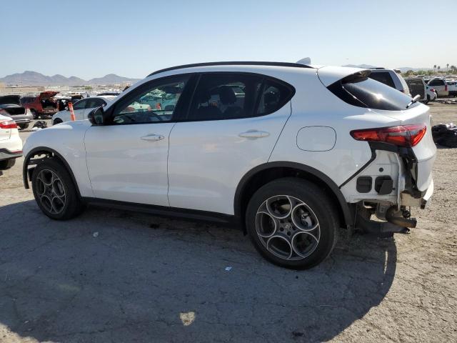 ZASPAJAN3M7C99676 - 2021 ALFA ROMEO STELVIO SPORT Weiß Foto 2