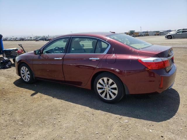 1HGCR2F86EA034118 - 2014 HONDA ACCORD EXL BURGUNDY photo 2