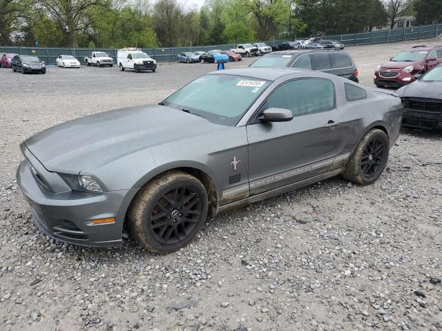 2014 FORD MUSTANG, null