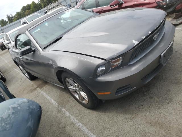 1ZVBP8EM4B5138920 - 2011 FORD MUSTANG GRAY photo 4