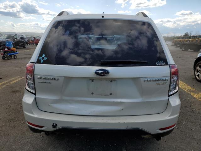 JF2SH6BC8AH776795 - 2010 SUBARU FORESTER XS Ağ foto 6