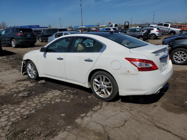 1N4AA5AP7AC804862 - 2010 NISSAN MAXIMA S WHITE photo 2