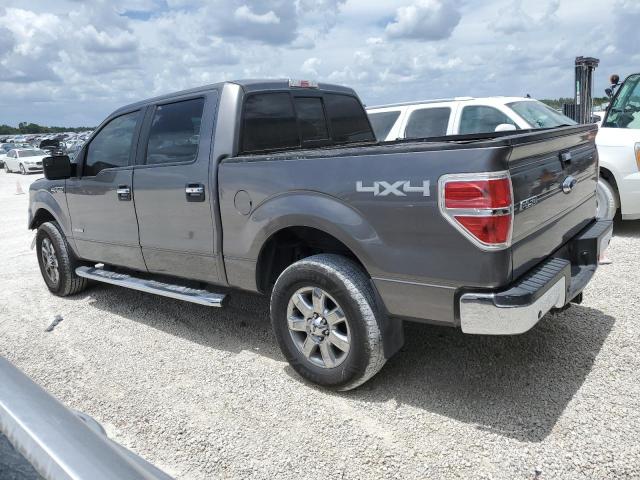 1FTFW1ET9EKF33283 - 2014 FORD F150 SUPERCREW GRAY photo 2