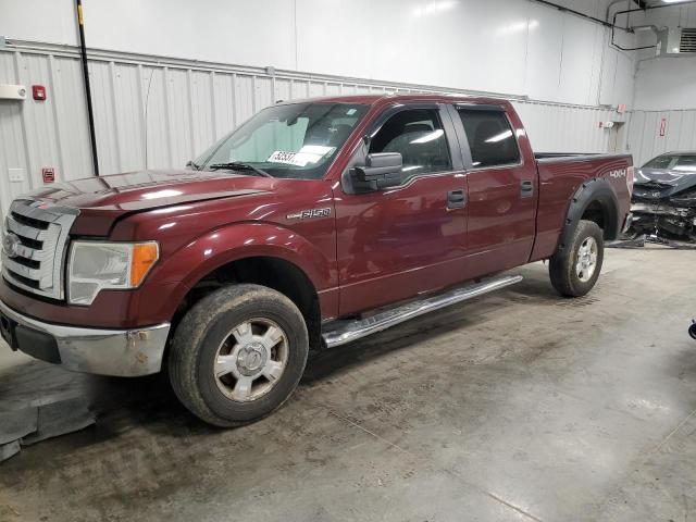 2010 FORD F150 SUPERCREW, null