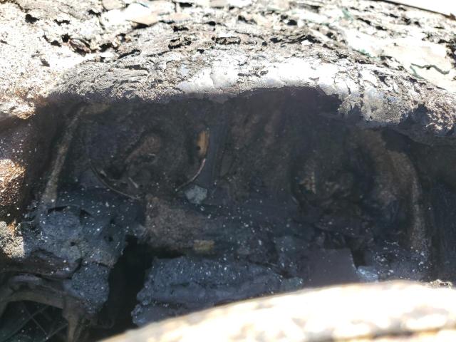 WVGAV7AX9GW513339 - 2016 VOLKSWAGEN TIGUAN S Сұр фото 9