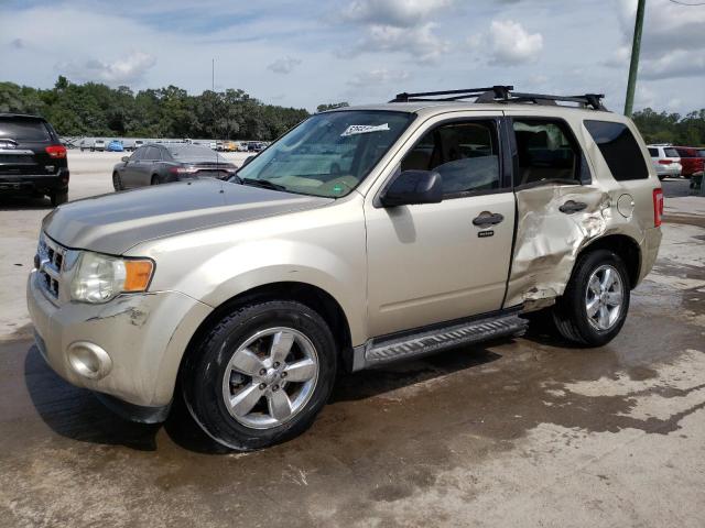 2010 FORD ESCAPE XLT, 