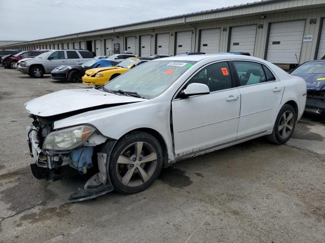 1G1ZC5E05A4113319 - 2010 CHEVROLET MALIBU 1LT 白色 照片 1