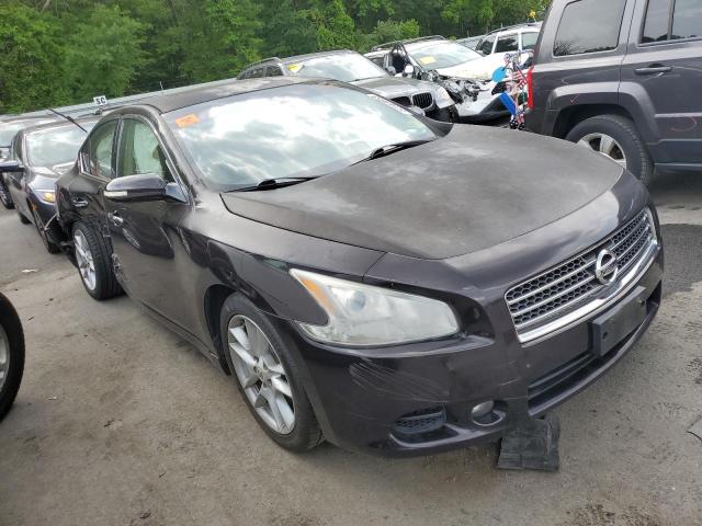 1N4AA5AP4AC811462 - 2010 NISSAN MAXIMA S PURPLE photo 4