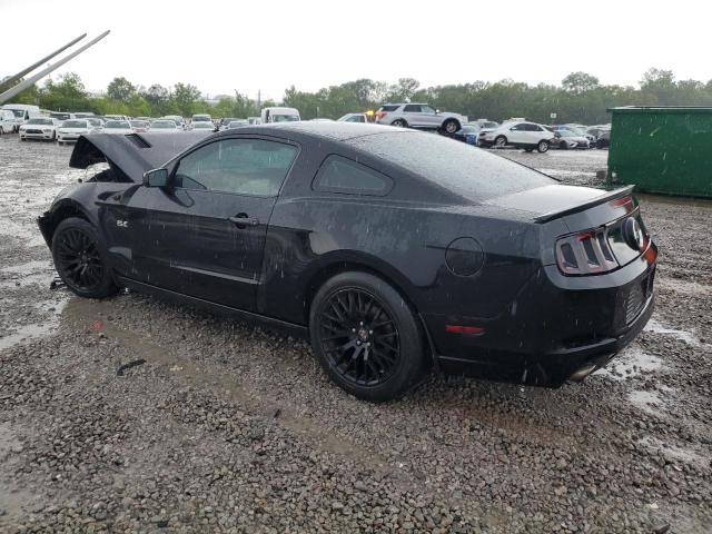 1ZVBP8CF9D5281448 - 2013 FORD MUSTANG GT BLACK photo 2