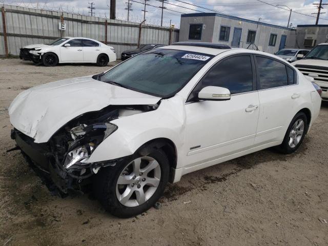 1N4CL21E89C126635 - 2009 NISSAN ALTIMA HYBRID WHITE photo 1