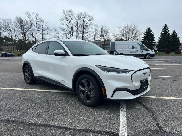 2021 FORD MUSTANG MA SELECT, 