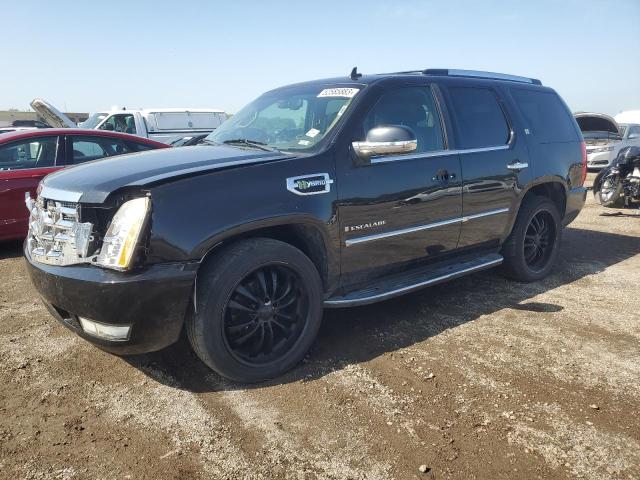 1GYFK43529R210590 - 2009 CADILLAC ESCALADE HYBRID BLACK photo 1