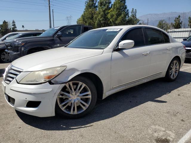 2011 HYUNDAI GENESIS 4.6L, null