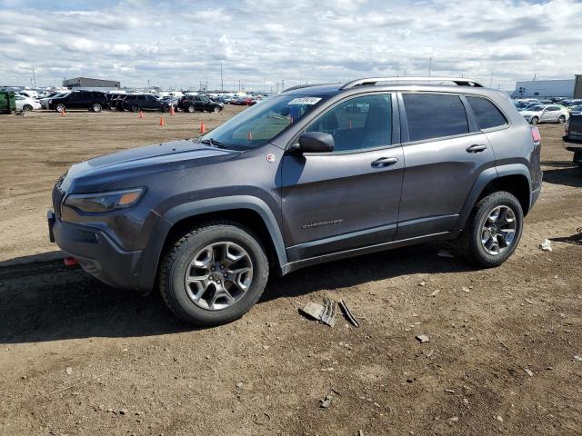 1C4PJMBN7KD331052 - 2019 JEEP CHEROKEE TRAILHAWK GRAY photo 1