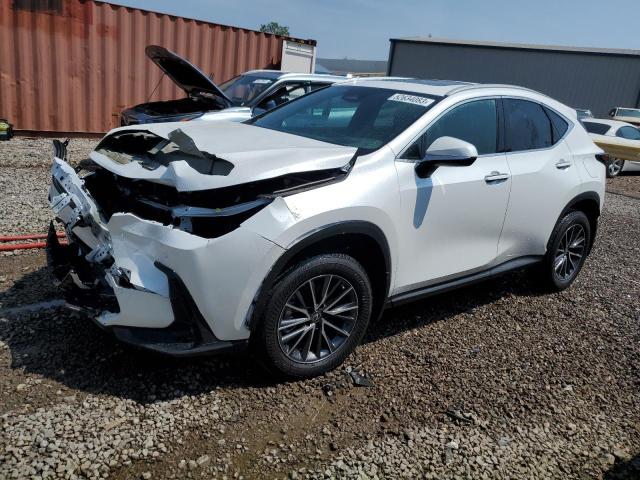 2T2GGCEZ9PC025445 - 2023 LEXUS NX 350 WHITE photo 1