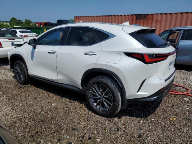 2T2GGCEZ9PC025445 - 2023 LEXUS NX 350 WHITE photo 2