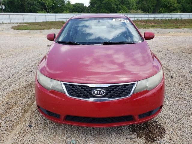 KNAFU4A20D5716148 - 2013 KIA FORTE EX RED photo 5