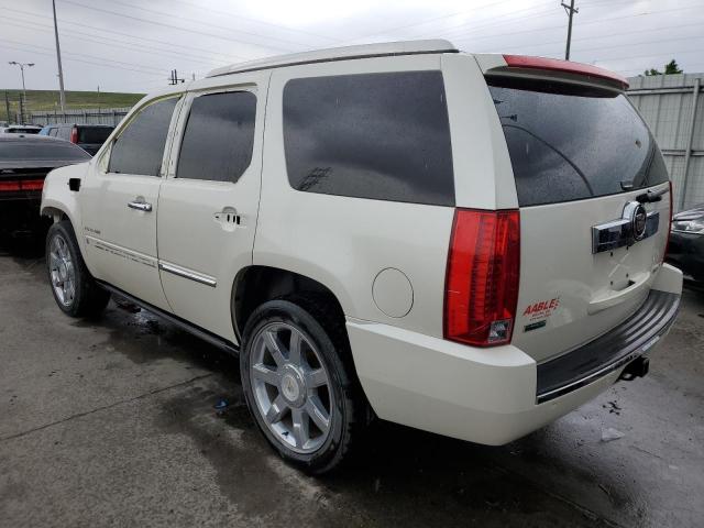 1GYUKCEFXAR283203 - 2010 CADILLAC ESCALADE PREMIUM CREAM photo 2