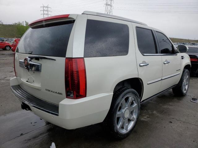 1GYUKCEFXAR283203 - 2010 CADILLAC ESCALADE PREMIUM CREAM photo 3