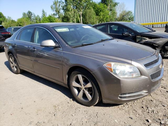 1G1ZC5EU8BF353652 - 2011 CHEVROLET MALIBU 1LT BROWN photo 4