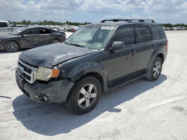 2009 FORD ESCAPE XLT, 