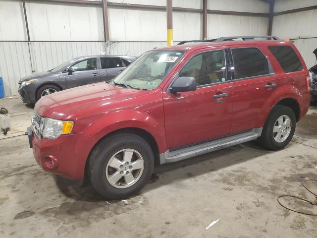 2011 FORD ESCAPE XLT, 