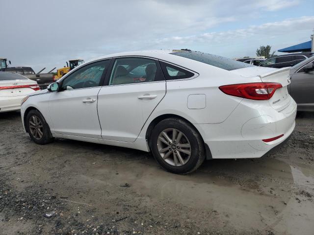 5NPE24AF3FH255649 - 2015 HYUNDAI SONATA SE WHITE photo 2