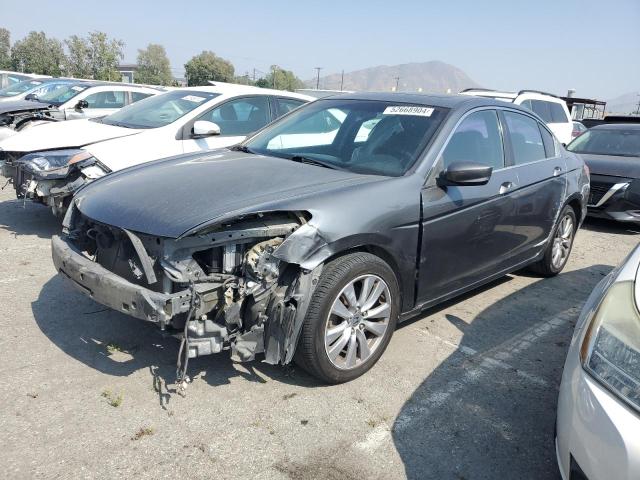 2011 HONDA ACCORD EXL, 