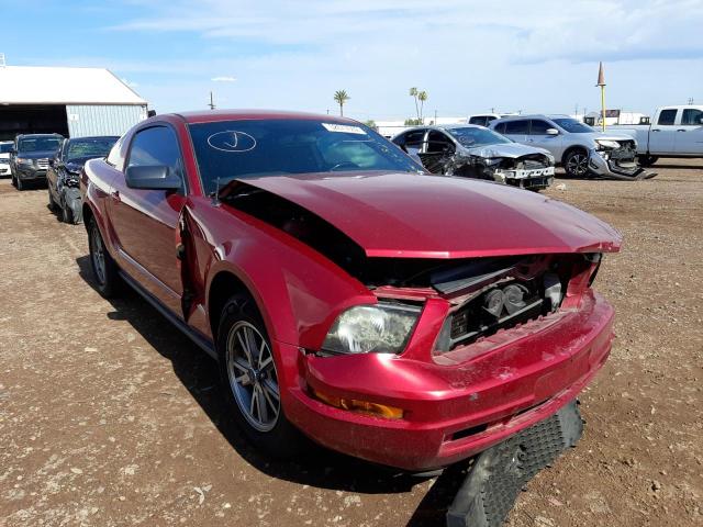 1ZVFT80NX55173026 - 2005 FORD MUSTANG RED photo 1