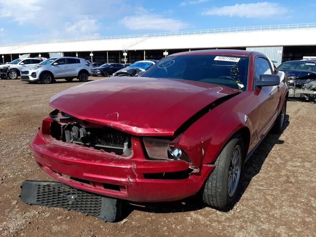 1ZVFT80NX55173026 - 2005 FORD MUSTANG RED photo 2