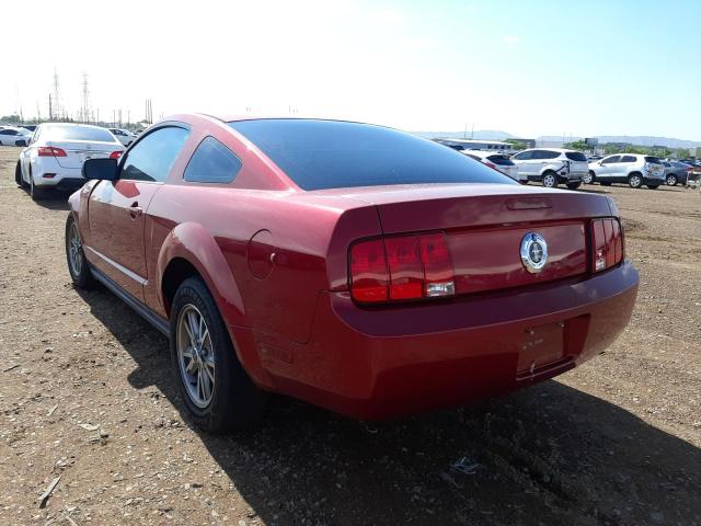 1ZVFT80NX55173026 - 2005 FORD MUSTANG RED photo 3