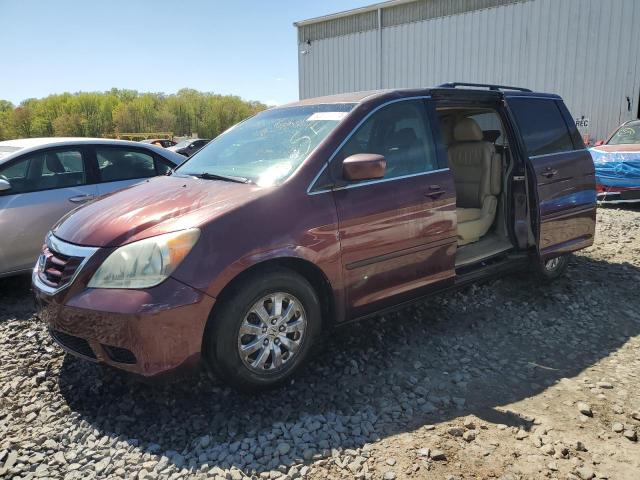 5FNRL3H6XAB091788 - 2010 HONDA ODYSSEY EXL BURGUNDY photo 1