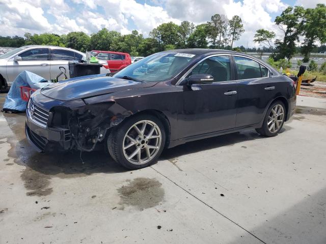 2010 NISSAN MAXIMA S, null