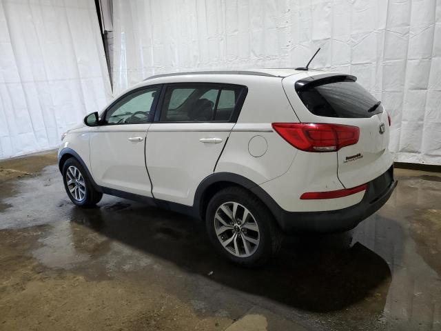 KNDPB3AC7G7802405 - 2016 KIA SPORTAGE LX WHITE photo 2