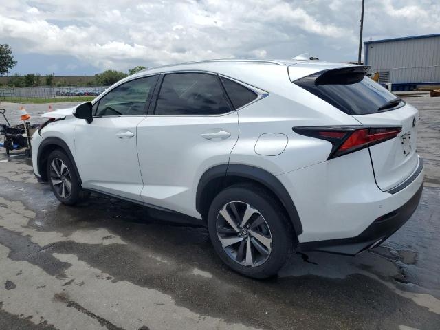 JTJYARBZ3K2127278 - 2019 LEXUS NX 300 BASE თეთრი ფოტო 2
