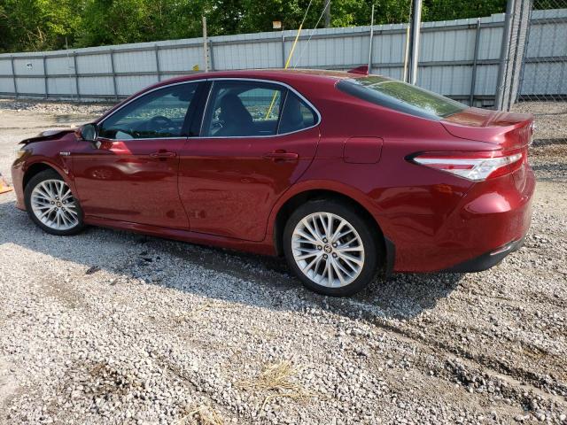 4T1F31AK3LU536778 - 2020 TOYOTA CAMRY XLE MAROON photo 2