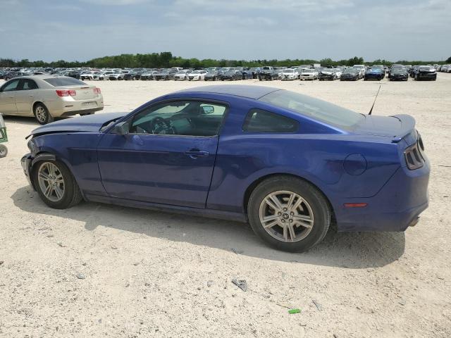 1ZVBP8AM4E5274667 - 2014 FORD MUSTANG BLUE photo 2