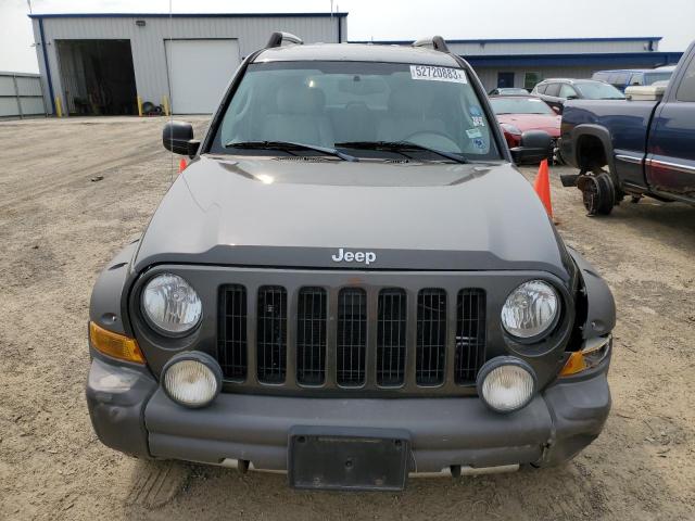 1J4GL38K65W666078 - 2005 JEEP LIBERTY RENEGADE GRAY photo 5