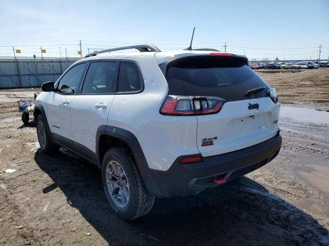 1C4PJMBX7LD627109 - 2020 JEEP CHEROKEE TRAILHAWK 白色 照片 2