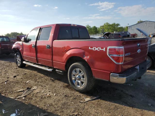 1FTFW1EF3BFD25172 - 2011 FORD F150 SUPERCREW RED photo 2