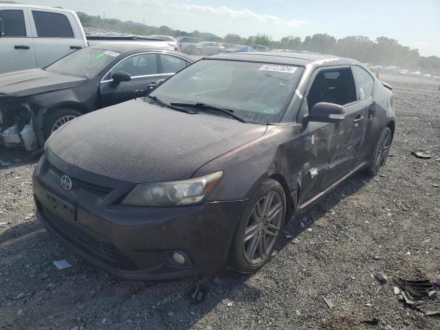 JTKJF5C79B3016653 - 2011 TOYOTA SCION TC 栗色 照片 1