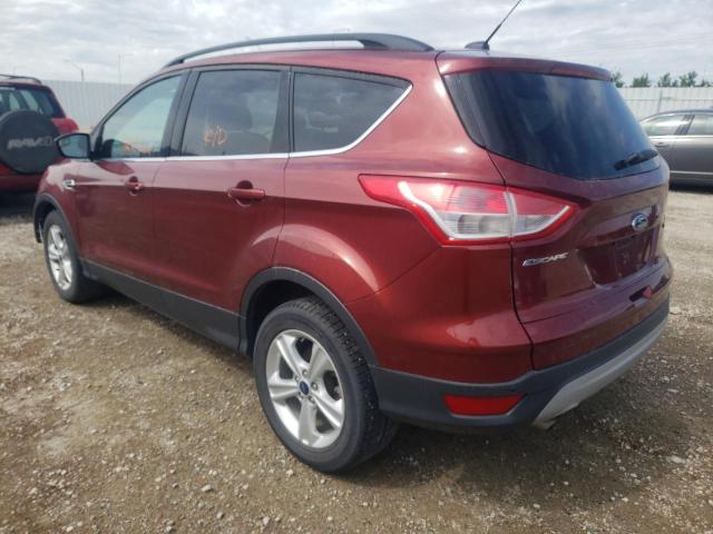 1FMCU0GX7EUA08919 - 2014 FORD ESCAPE SE RED photo 3