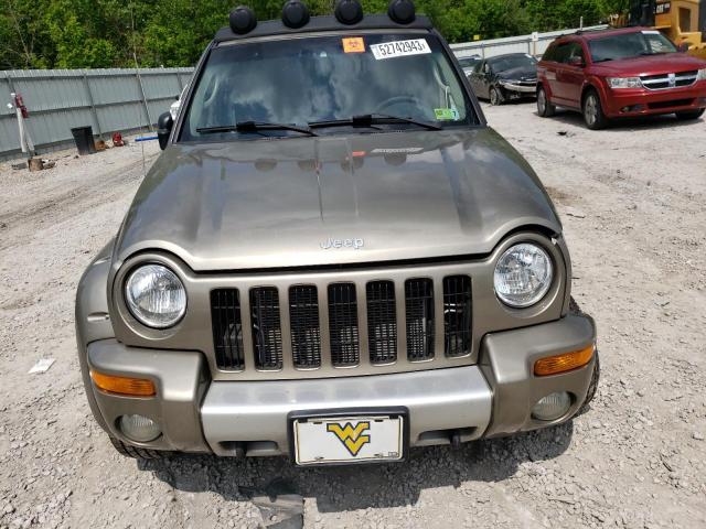 1J8GL38K92W366383 - 2002 JEEP LIBERTY RENEGADE TAN photo 5