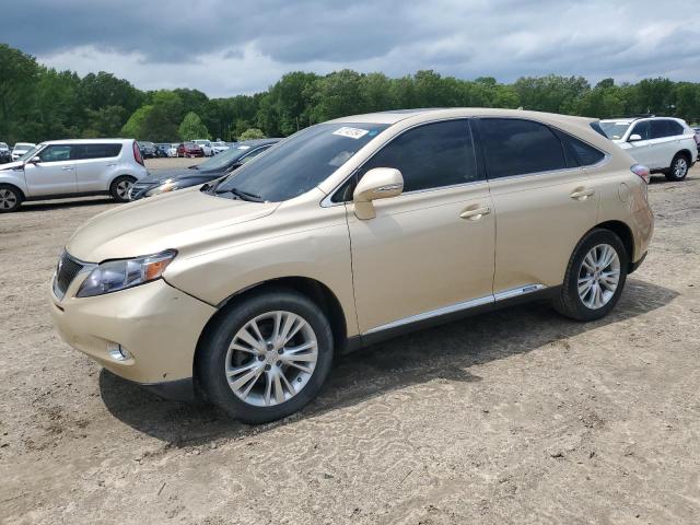 2010 LEXUS RX 450, 