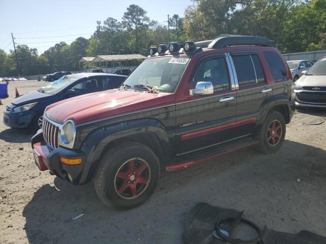 1J4GK38K83W548467 - 2003 JEEP LIBERTY RENEGADE 双色 照片 1
