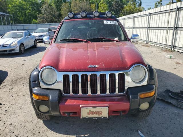 1J4GK38K83W548467 - 2003 JEEP LIBERTY RENEGADE 双色 照片 5