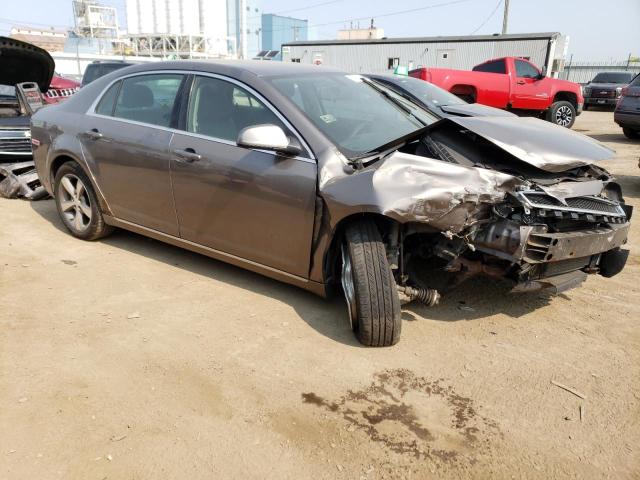 1G1ZC5E1XBF245135 - 2011 CHEVROLET MALIBU 1LT TAN photo 4
