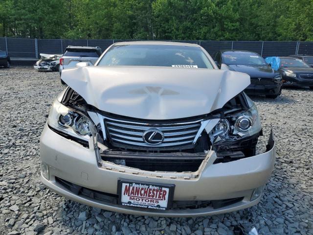 JTHBK1EG2A2363158 - 2010 LEXUS ES 350 GOLD photo 5