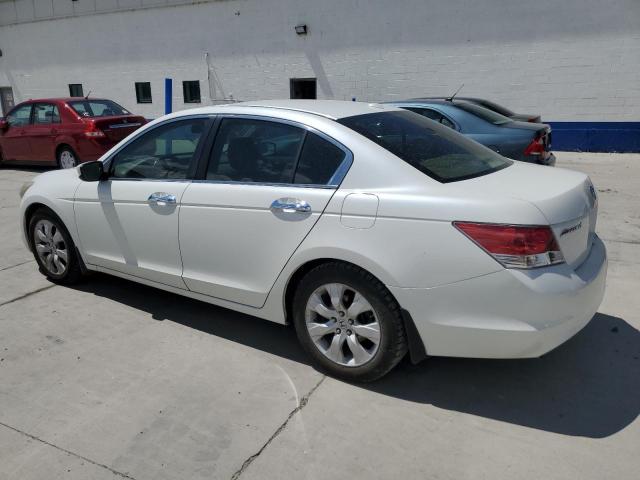 1HGCP36828A057590 - 2008 HONDA ACCORD EXL WHITE photo 2