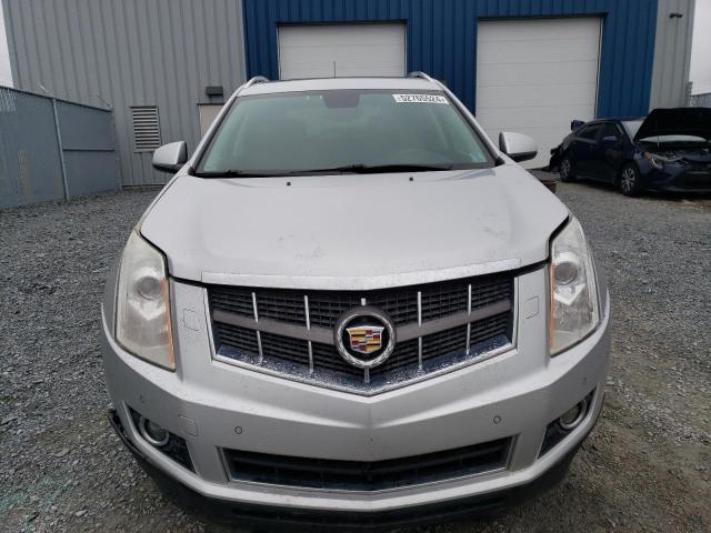 3GYFNEEY0AS595816 - 2010 CADILLAC SRX PERFORMANCE COLLECTION ვერცხლისფერი ფოტო 5